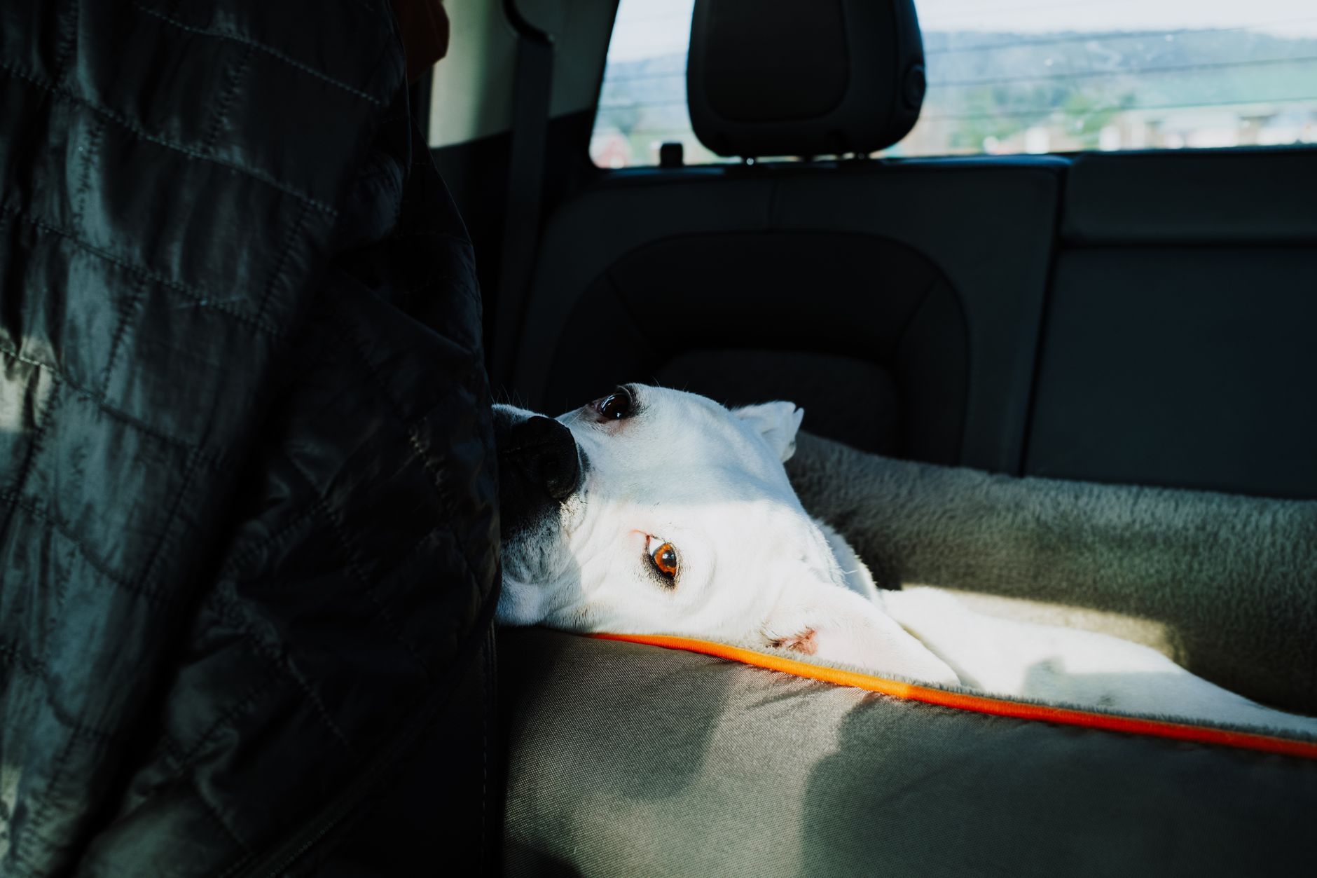 why boredom car trips actually good for